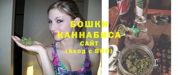 ГАЛЛЮЦИНОГЕННЫЕ ГРИБЫ Арсеньев