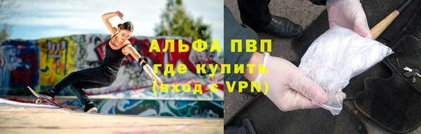 шишки Аркадак