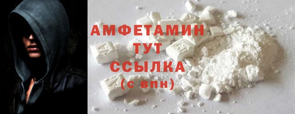 шишки Аркадак
