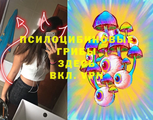 шишки Аркадак