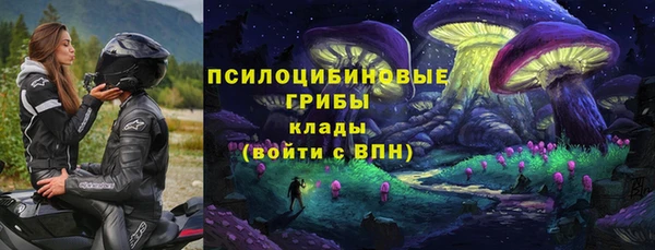 ГАЛЛЮЦИНОГЕННЫЕ ГРИБЫ Арсеньев