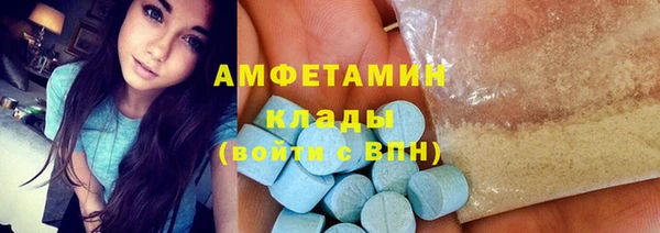 шишки Аркадак