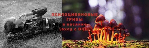 ГАЛЛЮЦИНОГЕННЫЕ ГРИБЫ Арсеньев