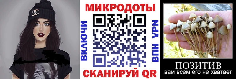 блэк спрут зеркало  Павловск  Псилоцибиновые грибы Psilocybine cubensis  где продают  