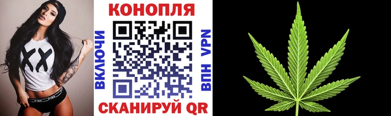 Шишки марихуана тримм  закладка  блэк спрут рабочий сайт  Павловск 
